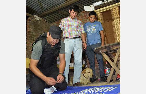 Con el aporte de vecinos se secuestraron más de 500 dosis de cocaína en Tartagal